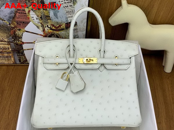 Hermes Birkin 25 Bag in Parchemin Ostrich Leather Replica