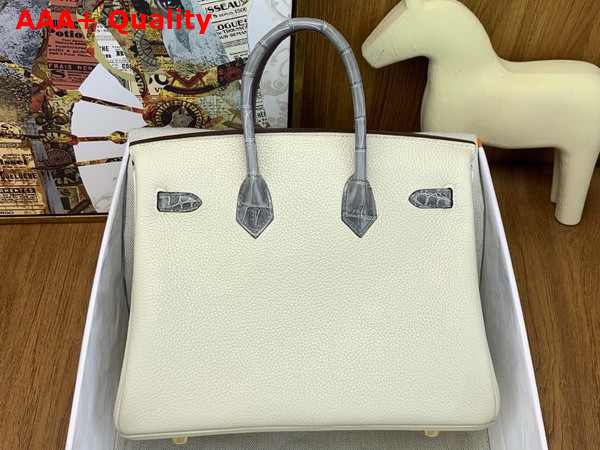 Hermes Birkin 25 Bag in Togo Leather and Alligator Leather Milk White and Elephant Gray Replica