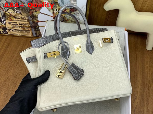 Hermes Birkin 25 Bag in Togo Leather and Alligator Leather Milk White and Elephant Gray Replica