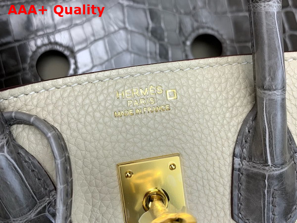 Hermes Birkin 25 Bag in Togo Leather and Alligator Leather Milk White and Elephant Gray Replica