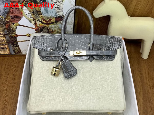 Hermes Birkin 25 Bag in Togo Leather and Alligator Leather Milk White and Elephant Gray Replica