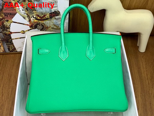 Hermes Birkin 25 Bag in Vert Comics Togo Leather and Alligator Leather Replica