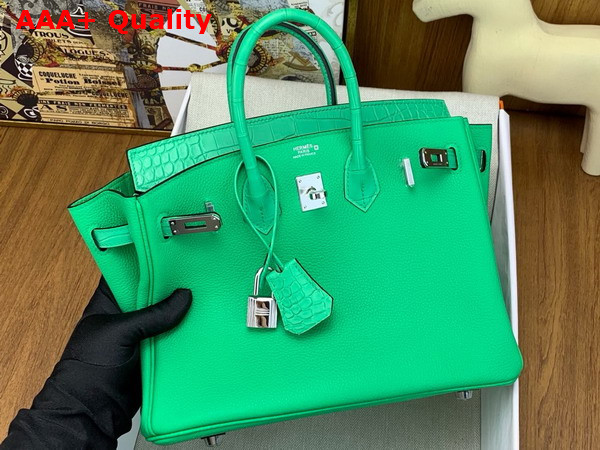 Hermes Birkin 25 Bag in Vert Comics Togo Leather and Alligator Leather Replica