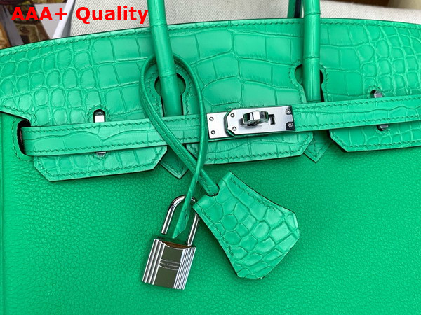 Hermes Birkin 25 Bag in Vert Comics Togo Leather and Alligator Leather Replica