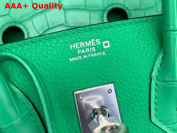 Hermes Birkin 25 Bag in Vert Comics Togo Leather and Alligator Leather Replica