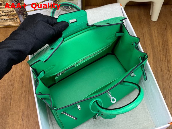 Hermes Birkin 25 Bag in Vert Comics Togo Leather and Alligator Leather Replica
