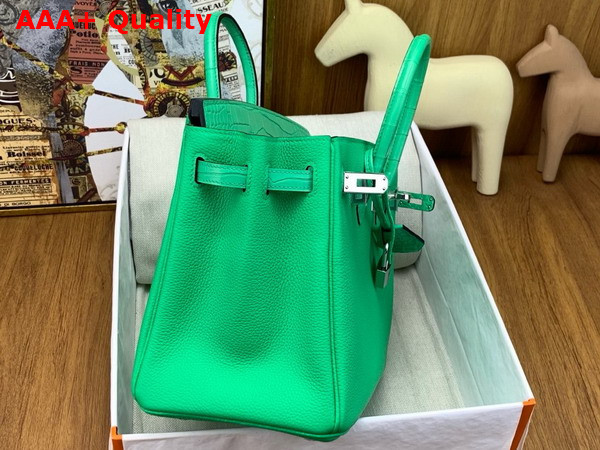 Hermes Birkin 25 Bag in Vert Comics Togo Leather and Alligator Leather Replica