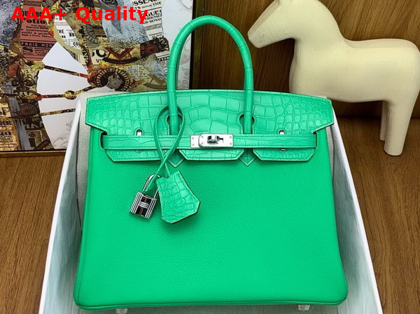 Hermes Birkin 25 Bag in Vert Comics Togo Leather and Alligator Leather Replica