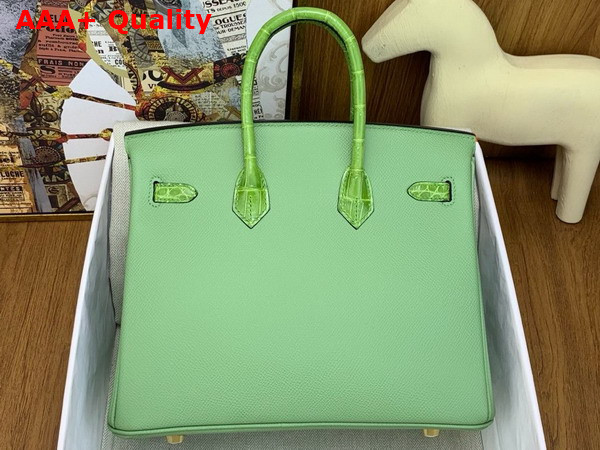 Hermes Birkin 25 Bag in Vert Criquet Togo Leather and Alligator Leather Replica