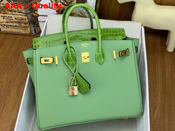 Hermes Birkin 25 Bag in Vert Criquet Togo Leather and Alligator Leather Replica