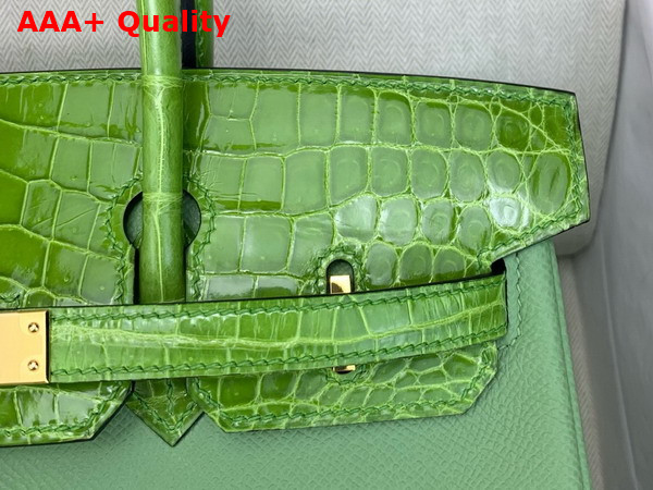 Hermes Birkin 25 Bag in Vert Criquet Togo Leather and Alligator Leather Replica