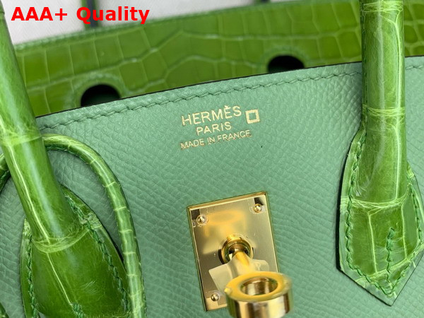 Hermes Birkin 25 Bag in Vert Criquet Togo Leather and Alligator Leather Replica