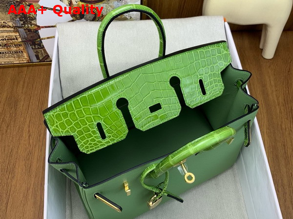 Hermes Birkin 25 Bag in Vert Criquet Togo Leather and Alligator Leather Replica
