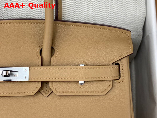 Hermes Birkin 25 Beige Swift Calfskin Replica