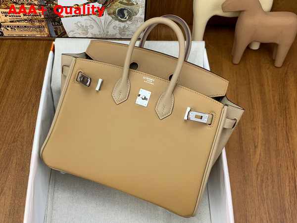 Hermes Birkin 25 Contrast Color Swift Calfskin Replica