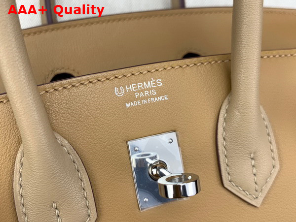 Hermes Birkin 25 Contrast Color Swift Calfskin Replica