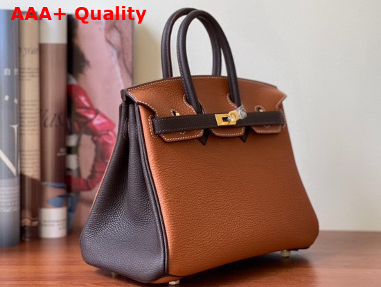 Hermes Birkin 25 Contrast Color Togo Calfskin Gold and Chocolate Hand Stitching Replica