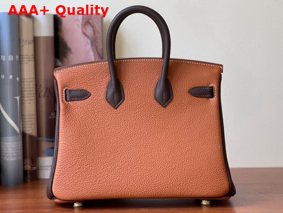 Hermes Birkin 25 Contrast Color Togo Calfskin Gold and Chocolate Hand Stitching Replica