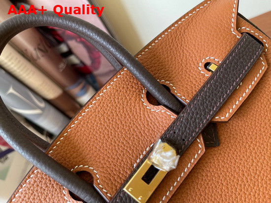 Hermes Birkin 25 Contrast Color Togo Calfskin Gold and Chocolate Hand Stitching Replica