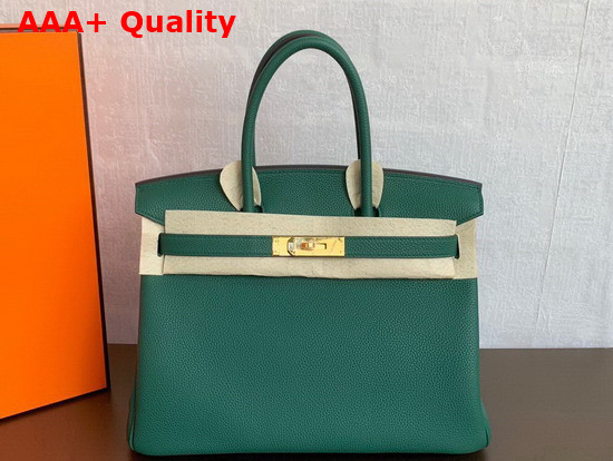 Hermes Birkin 25 Forest Green Togo Calfskin Replica