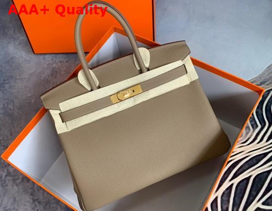 Hermes Birkin 25 Light Grey Togo Calfskin Replica