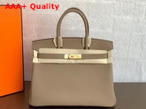 Hermes Birkin 25 Light Grey Togo Calfskin Replica