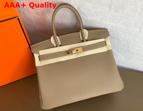 Hermes Birkin 25 Light Grey Togo Calfskin Replica