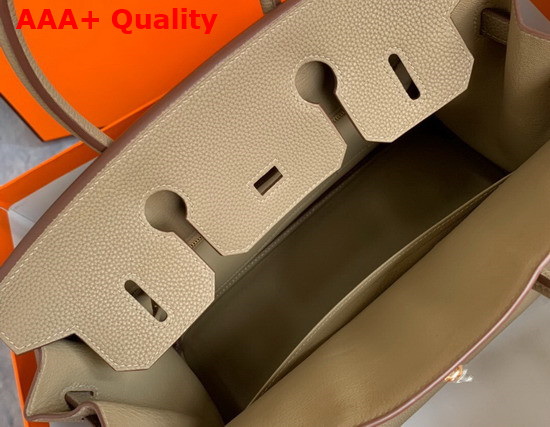 Hermes Birkin 25 Light Grey Togo Calfskin Replica