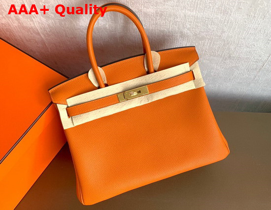 Hermes Birkin 25 Orange Togo Calfskin Replica