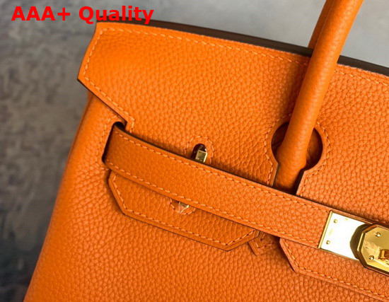 Hermes Birkin 25 Orange Togo Calfskin Replica