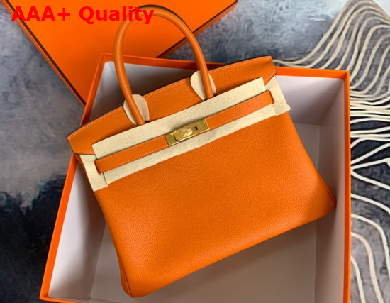 Hermes Birkin 25 Orange Togo Calfskin Replica