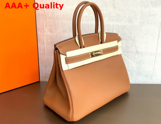Hermes Birkin 25 Tan Togo Calfskin Replica