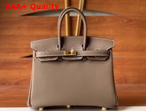 Hermes Birkin 25 Taupe Swift Calfskin Replica