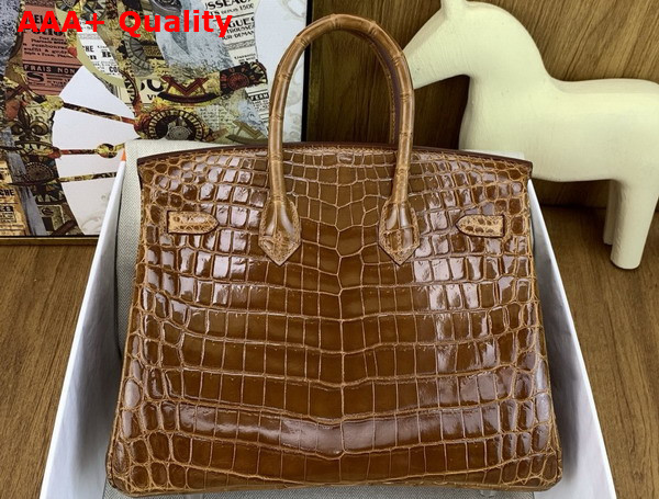 Hermes Birkin 25 in Brown Shiny Alligator Leather Replica
