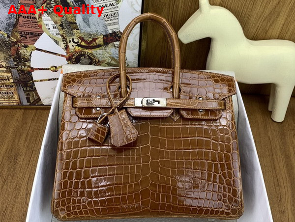 Hermes Birkin 25 in Brown Shiny Alligator Leather Replica