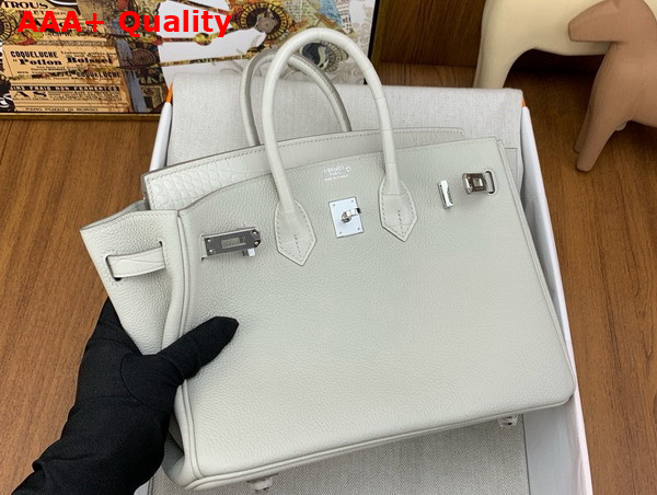 Hermes Birkin 25 in Glacier Togo Calfskin and Alligator Replica