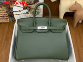 Hermes Birkin 25 in Green Swift Calfskin Replica