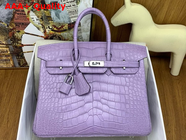 Hermes Birkin 25 in Lilac Alligator Leather Replica