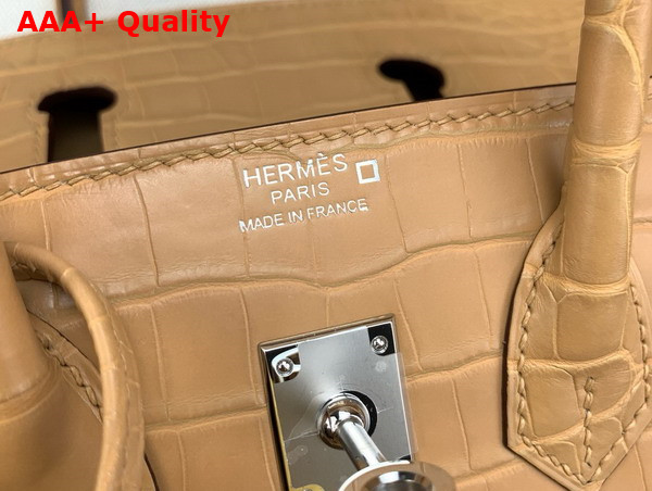 Hermes Birkin 25 in Milk Tea Color Alligator Replica