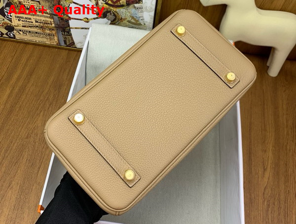 Hermes Birkin 25 in Milk Tea Color Togo Leather and Alligator Leather Replica