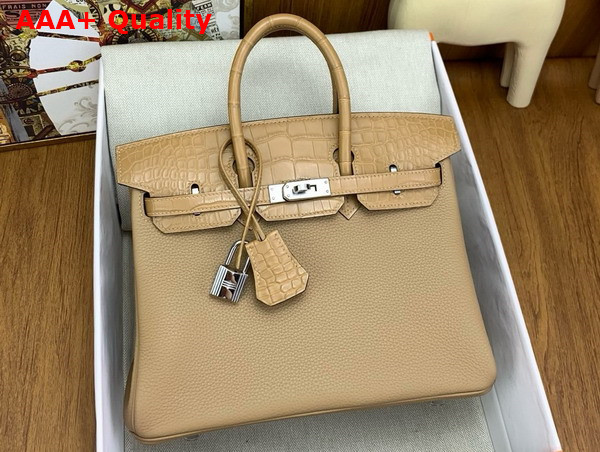 Hermes Birkin 25 in Milk Tea Color Togo Leather and Alligator Leather Replica