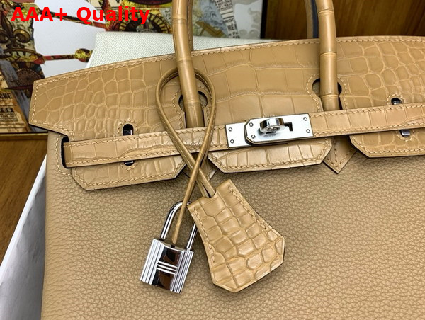 Hermes Birkin 25 in Milk Tea Color Togo Leather and Alligator Leather Replica