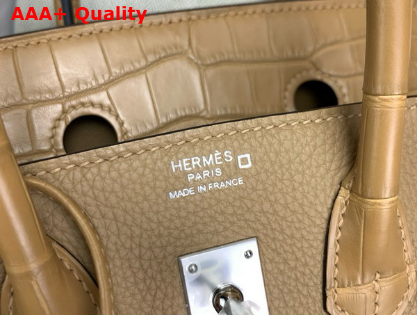 Hermes Birkin 25 in Milk Tea Color Togo Leather and Alligator Leather Replica