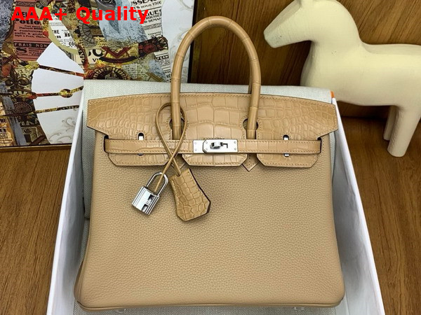 Hermes Birkin 25 in Milk Tea Color Togo Leather and Alligator Leather Replica