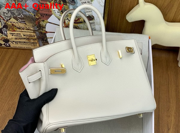 Hermes Birkin 25 in Milk White Togo Leather Replica