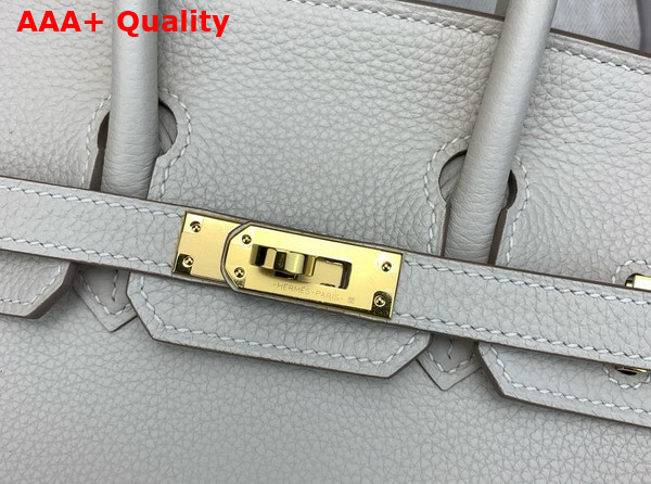 Hermes Birkin 25 in Milk White Togo Leather Replica