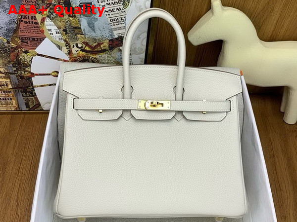Hermes Birkin 25 in Milk White Togo Leather Replica