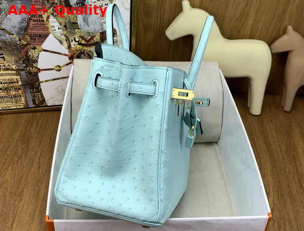 Hermes Birkin 25 in Mint Green Ostrich Leather Replica