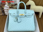 Hermes Birkin 25 in Mint Green Ostrich Leather Replica