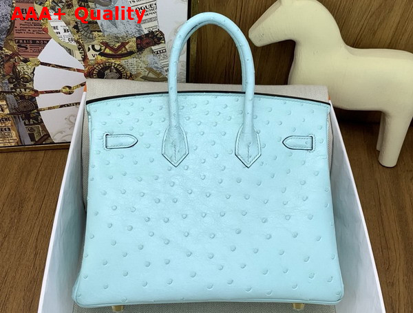 Hermes Birkin 25 in Mint Green Ostrich Leather Replica
